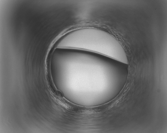 X0000083650246200702120843