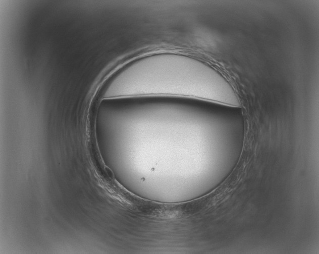 X0000083650247200702120843