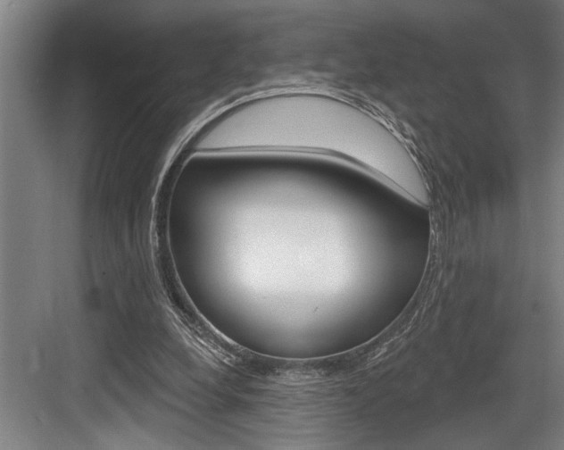 X0000083650248200702120843