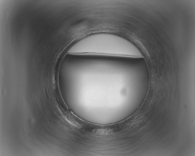 X0000083650251200702120843