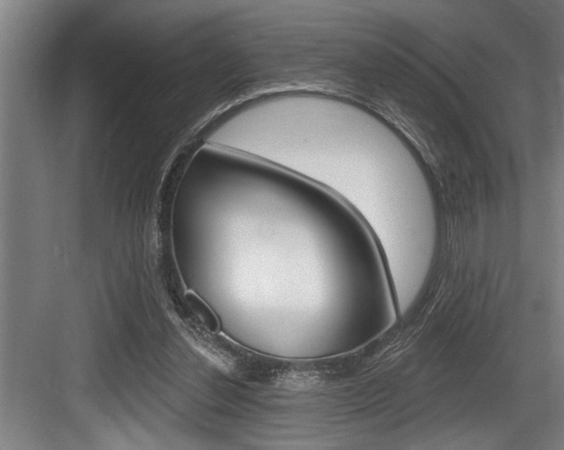 X0000083650252200702120844