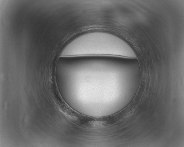 X0000083650255200702120844