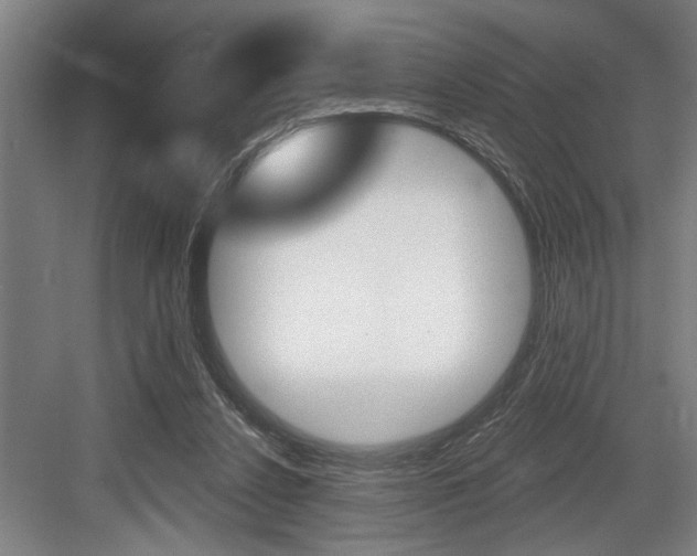 X0000083650256200702120844