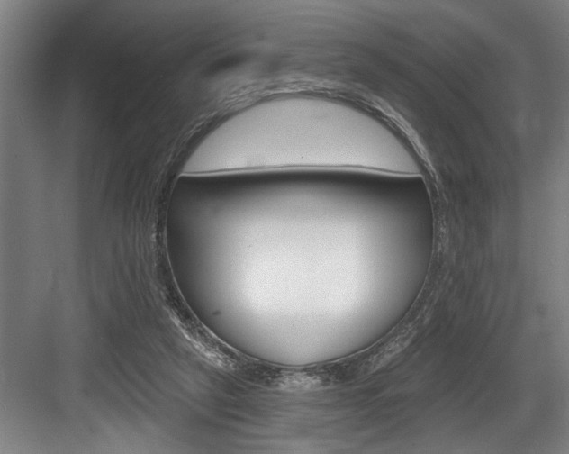 X0000083650257200702120844