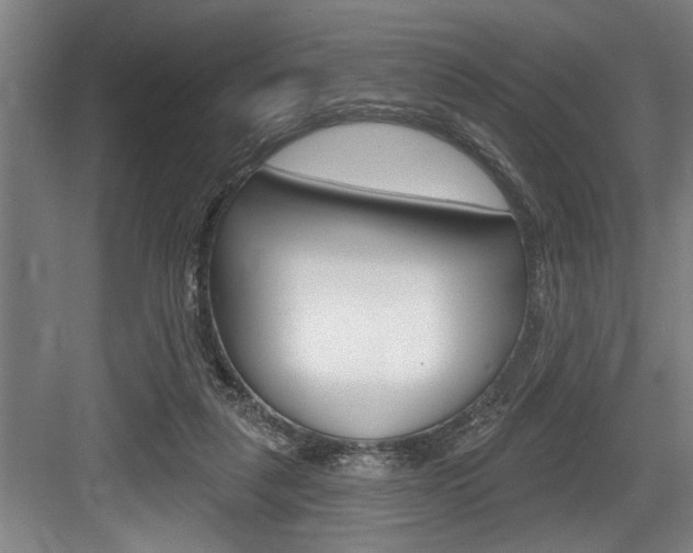 X0000083650259200702120844