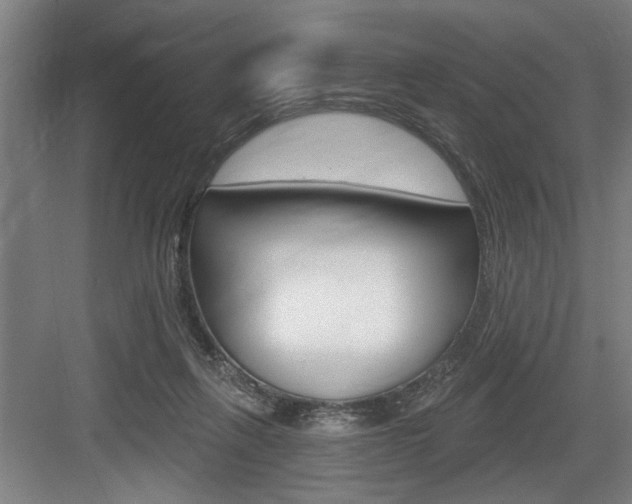 X0000083650263200702120844