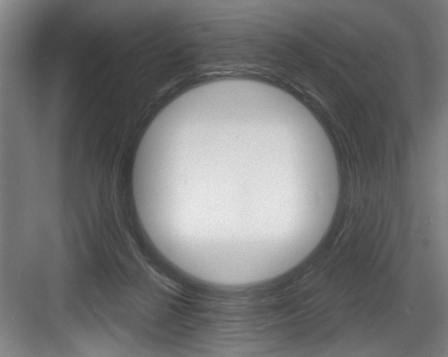 X0000083650264200702120844