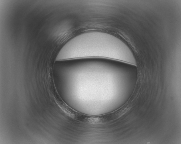 X0000083650265200702120844