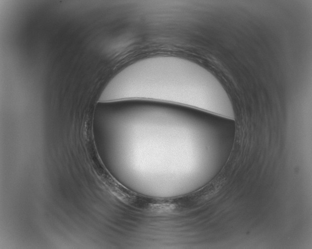 X0000083650266200702120844