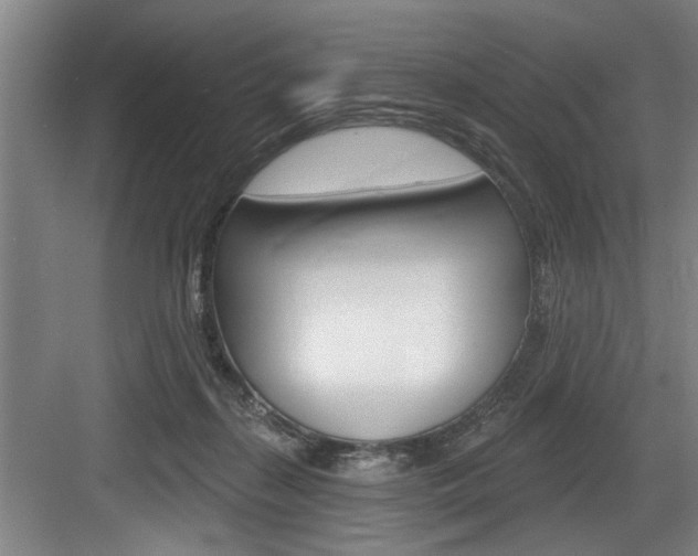 X0000083650267200702120844