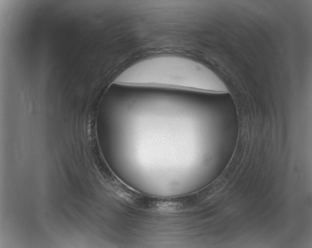 X0000083650268200702120844