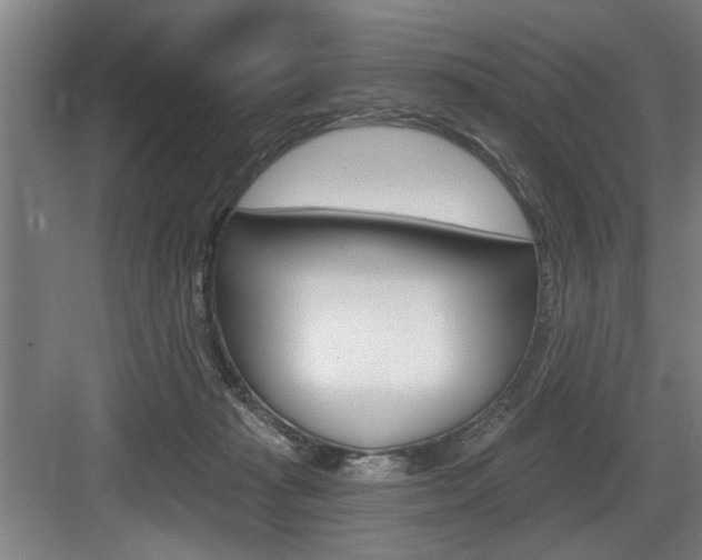 X0000083650269200702120844