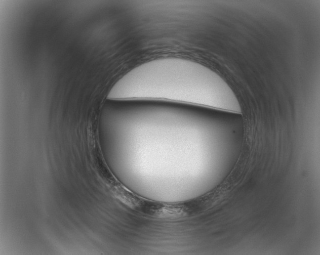 X0000083650270200702120844