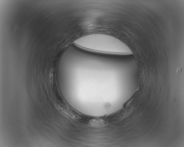 X0000083650271200702120844
