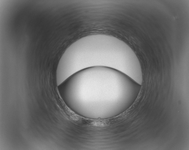 X0000083650272200702120844