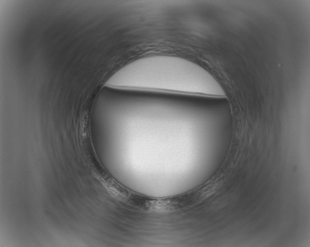 X0000083650273200702120844