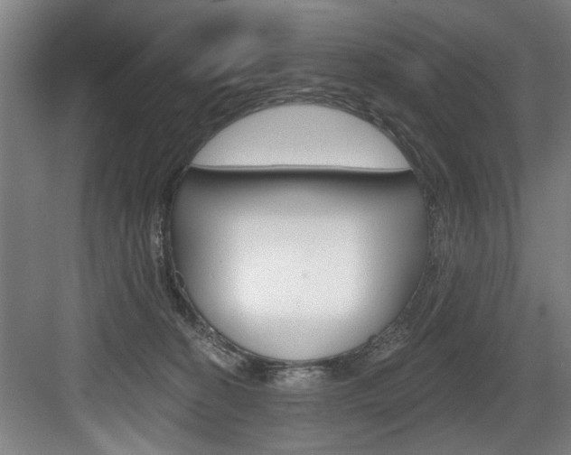 X0000083650274200702120844