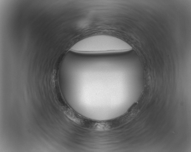 X0000083650275200702120844