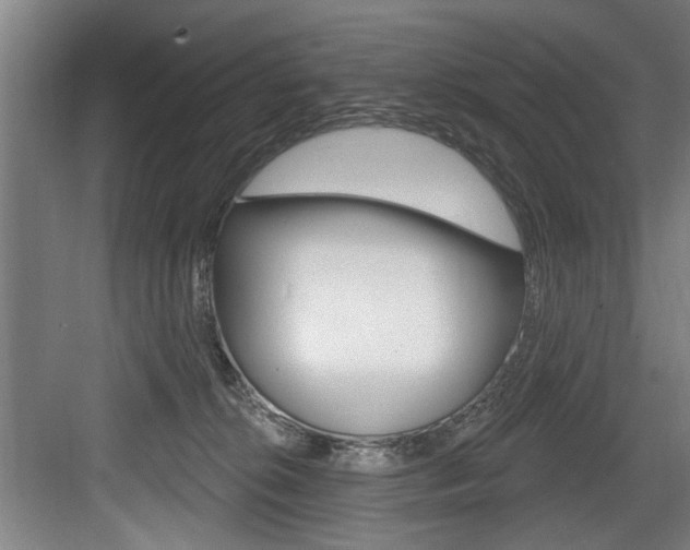X0000083650276200702120844