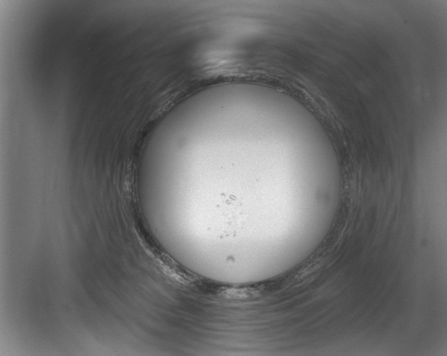X0000083650277200702120844