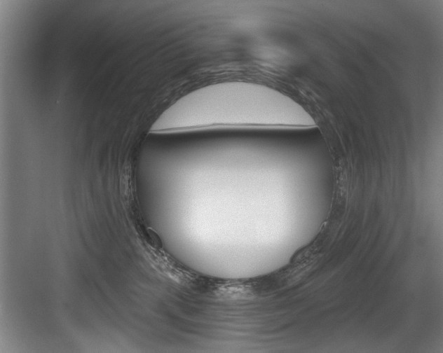 X0000083650283200702120844