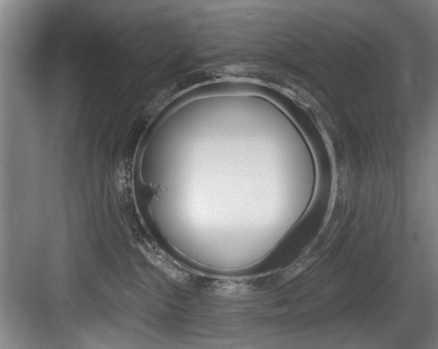 X0000083650284200702120844