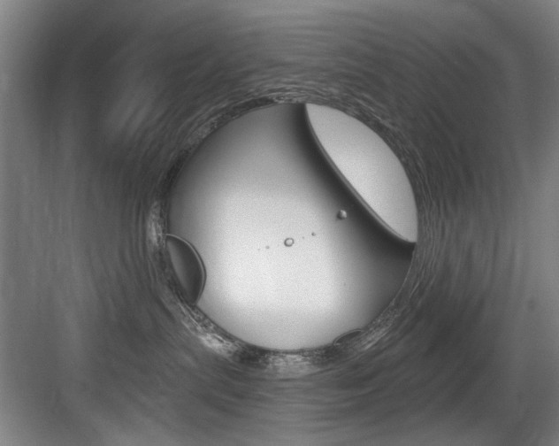 X0000083650287200702120844