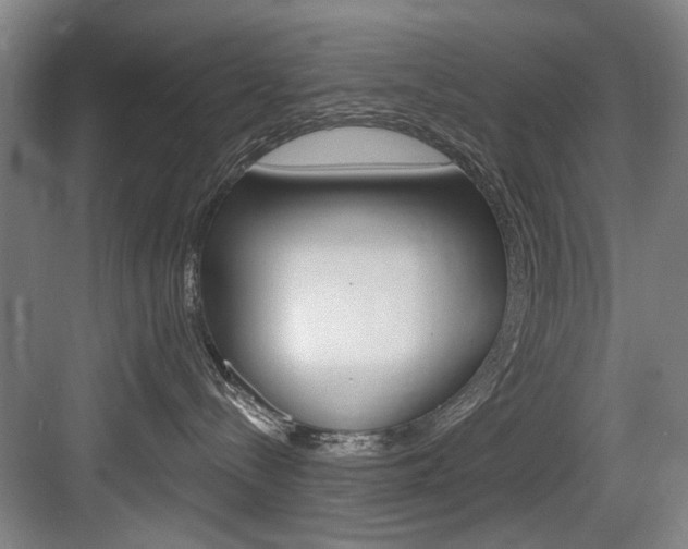 X0000083650288200702120844