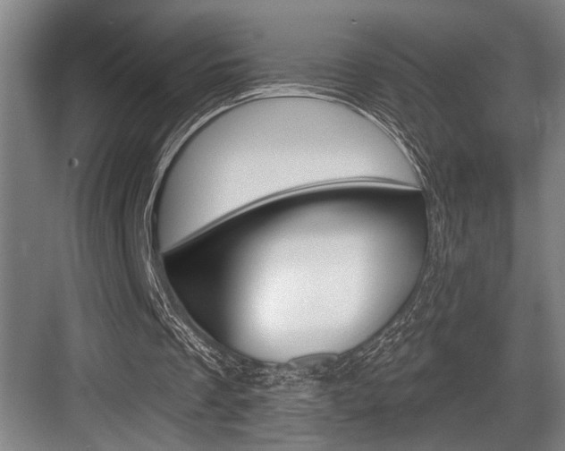 X0000083650289200702120843