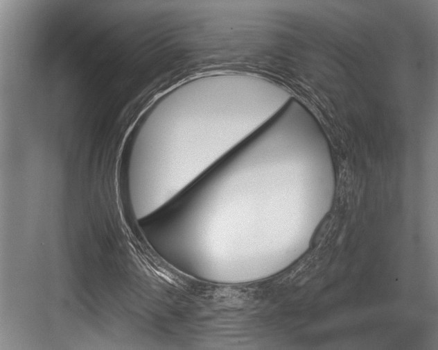 X0000083650290200702120843