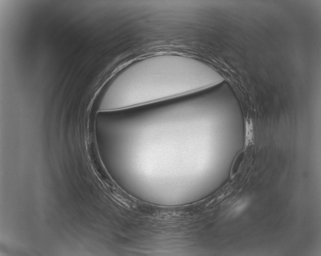 X0000083650291200702120843