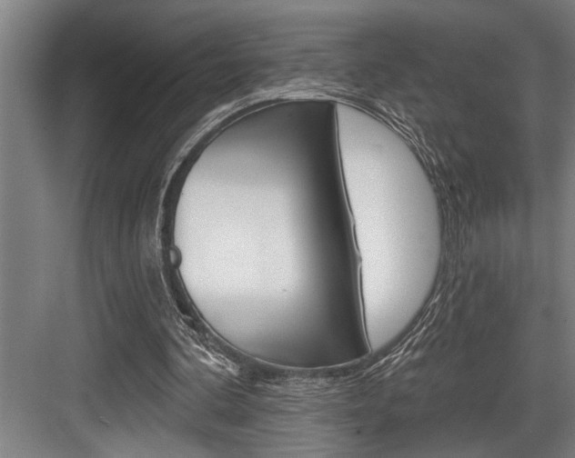 X0000083650292200702120843