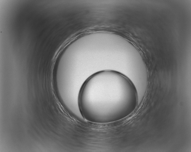 X0000083650293200702120843
