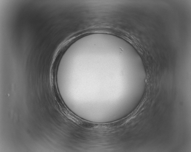 X0000083650294200702120843