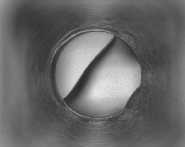 X0000083650295200702120843