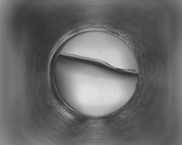 X0000083650296200702120843