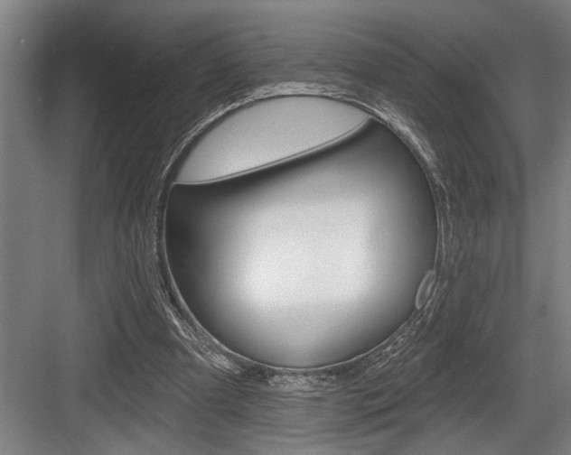 X0000083650297200702120843