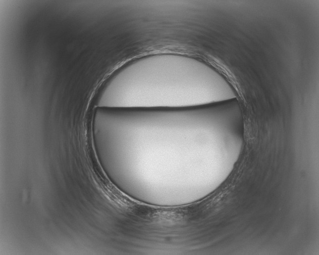 X0000083650298200702120843