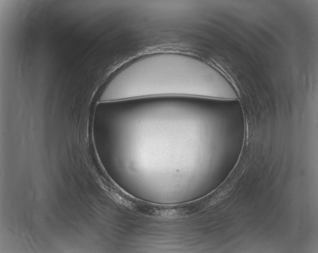 X0000083650301200702120843