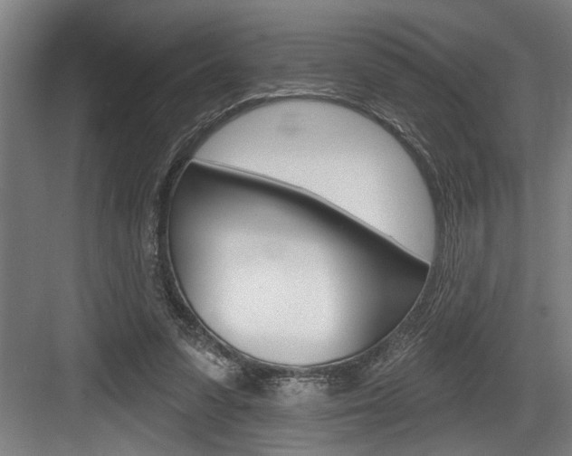 X0000083650303200702120843