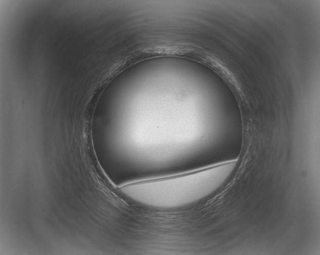 X0000083650305200702120843