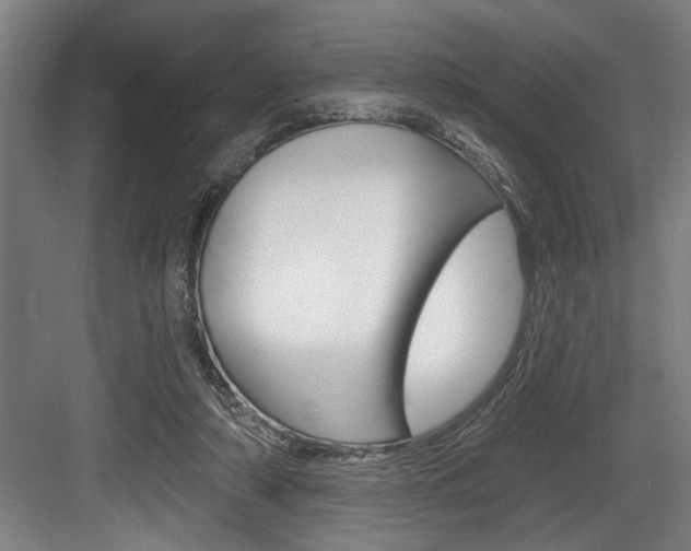 X0000083650306200702120843