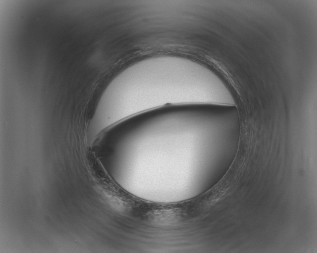 X0000083650307200702120843