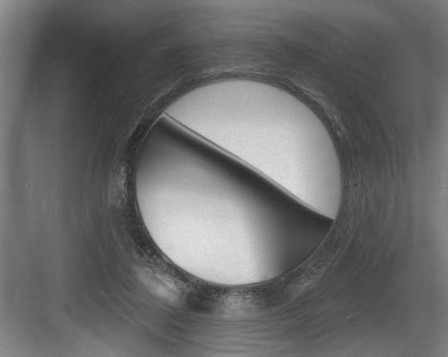 X0000083650308200702120843