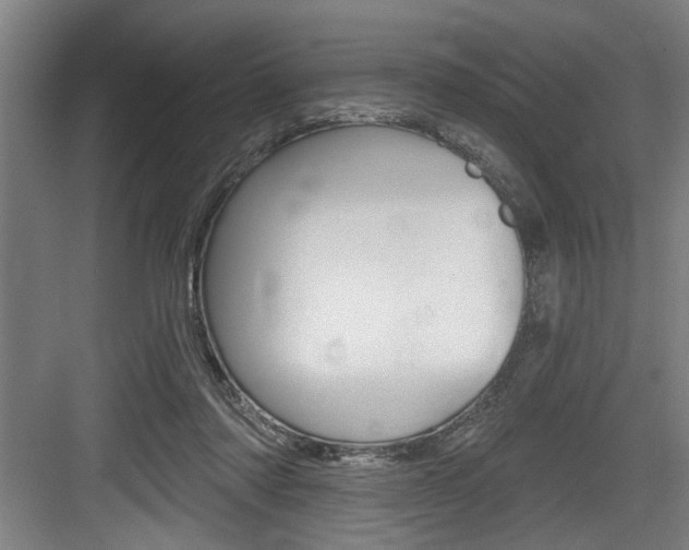 X0000083650310200702120843