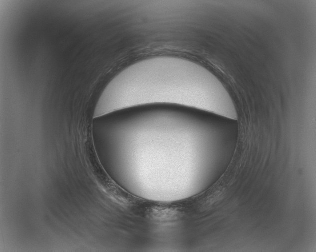 X0000083650311200702120843