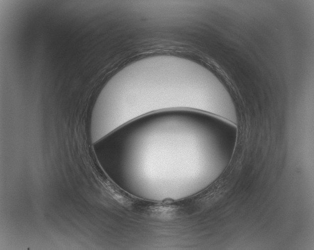 X0000083650313200702120843