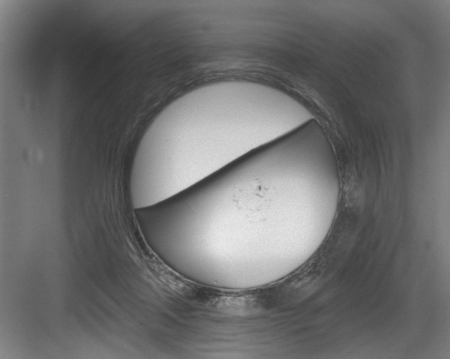 X0000083650314200702120843