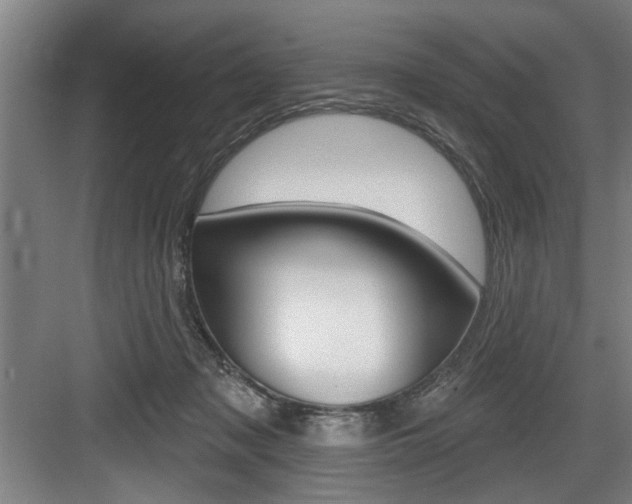 X0000083650317200702120843