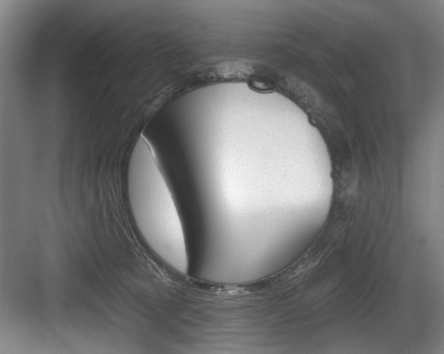 X0000083650321200702120843